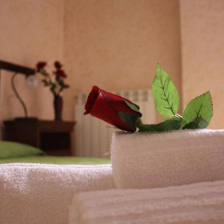 Cityguesthouse קטנזארו מראה חיצוני תמונה